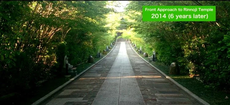 Front approach to Rinnoji Temple in Japan in 2014 with long, shady, concrete walkway and dense, tall trees on either side of the walkway.  No buildings are visible, only the forest greenery and the walkway itself.